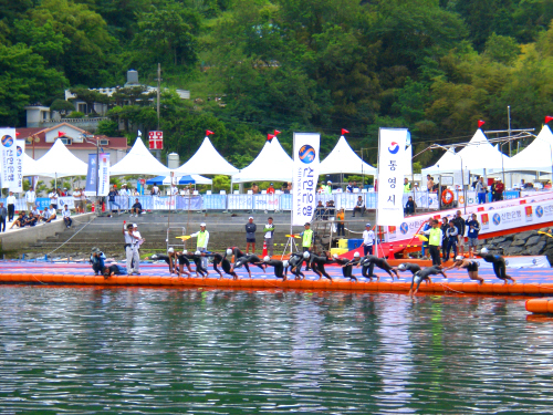 olympicswimdock